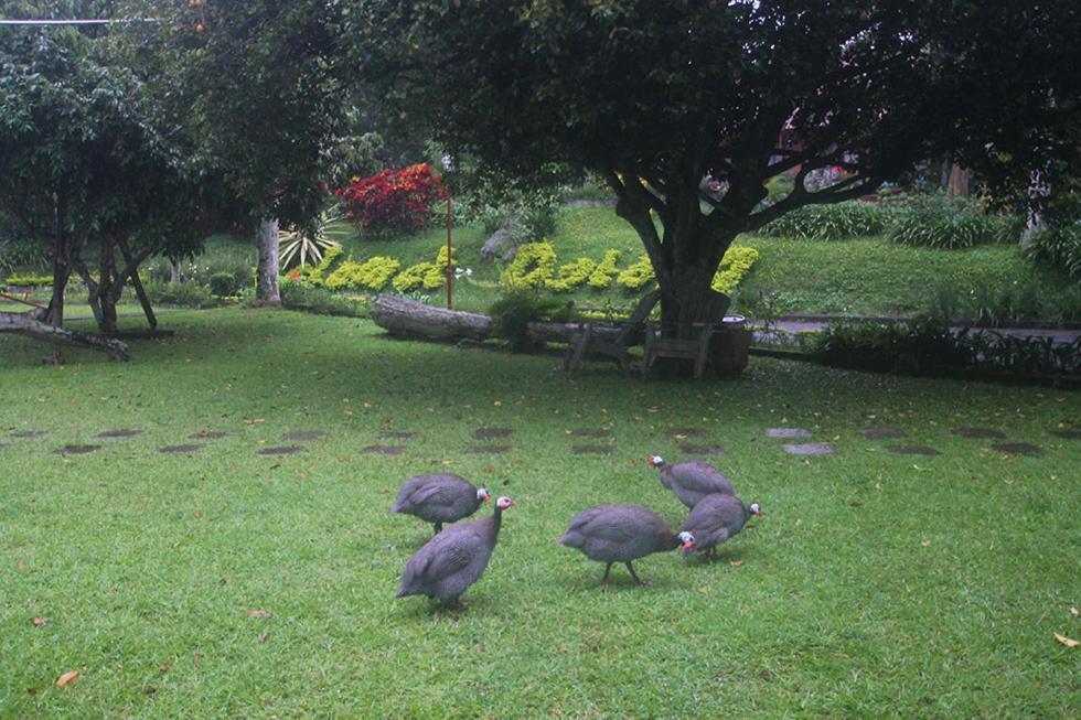 Hotel Villa Rawa Pening Pratama By Aparian Bandungan Esterno foto